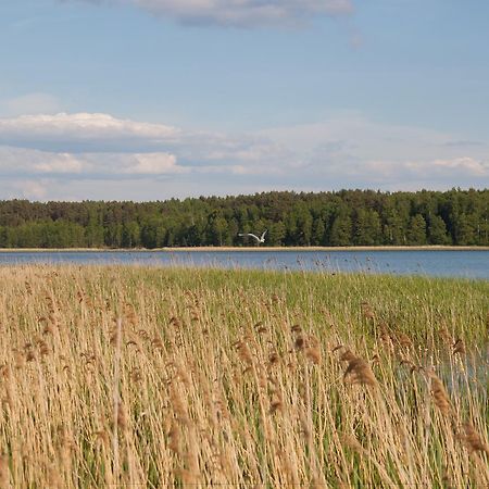 Villa Duck Lake à Polotsk Extérieur photo