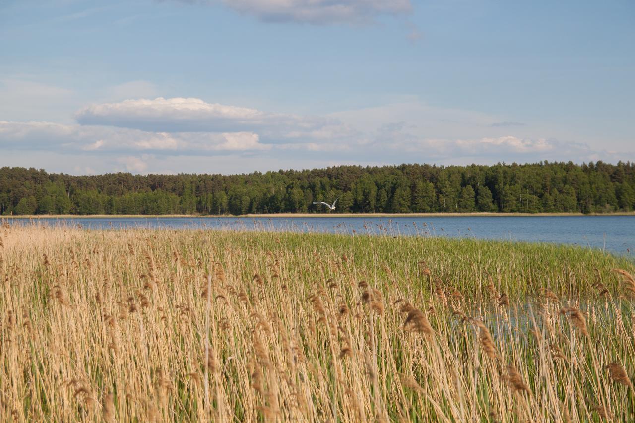 Villa Duck Lake à Polotsk Extérieur photo